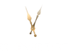 Xioverse